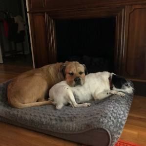 Meet your Posher, Robin